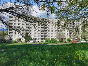 Prodej bytu 1+kk, Karlovy Vary, Východní, 19 m2