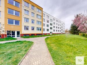 Prodej bytu 2+1, Pardubice, Na Rybníčkách, 42 m2