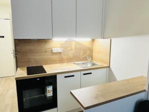 Pronájem bytu 1+kk, Praha - Smíchov, Plzeňská, 20 m2