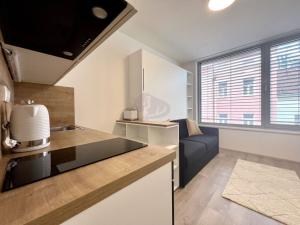 Pronájem bytu 1+kk, Praha - Smíchov, Plzeňská, 20 m2