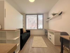Pronájem bytu 1+kk, Praha - Smíchov, Plzeňská, 20 m2