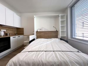 Pronájem bytu 1+kk, Praha - Smíchov, Plzeňská, 20 m2