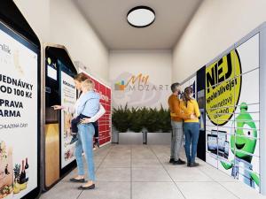 Pronájem bytu 1+kk, Praha - Smíchov, Plzeňská, 20 m2
