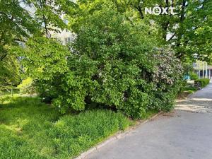 Prodej bytu 3+kk, Praha - Žižkov, Na vápence, 70 m2