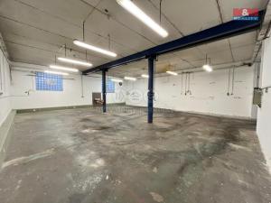 Pronájem výrobních prostor, Neratovice - Lobkovice, Palackého, 160 m2