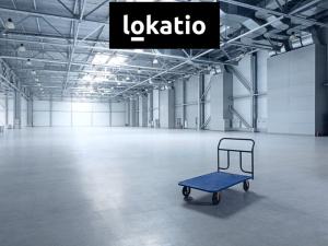 Pronájem skladu, Lavičky, 13000 m2