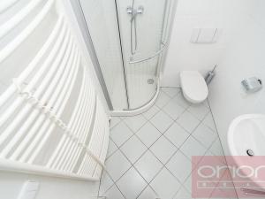 Pronájem bytu 4+kk, Praha - Vinohrady, Anny Letenské, 160 m2