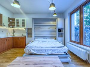 Pronájem bytu 1+kk, Praha - Motol, Plzeňská, 32 m2