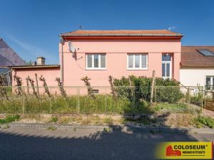 Prodej rodinného domu, Hrušovany nad Jevišovkou, 112 m2