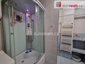 Prodej bytu 3+1, Lošany, 80 m2