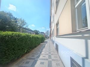 Pronájem bytu 1+kk, Praha - Žižkov, Jeseniova, 15 m2