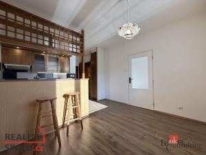 Pronájem bytu 1+1, Louny, Tomanova, 36 m2