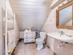 Prodej chalupy, Rokytnice nad Jizerou - Horní Rokytnice, 322 m2