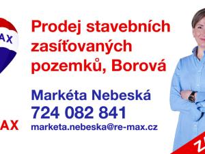 Prodej pozemku pro bydlení, Borová, 1045 m2