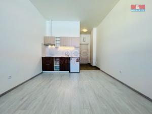 Pronájem bytu 1+kk, Janovice nad Úhlavou, Rozvojová zóna, 24 m2