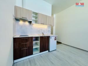 Pronájem bytu 1+kk, Janovice nad Úhlavou, Rozvojová zóna, 24 m2