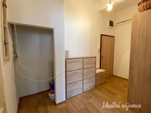 Pronájem bytu 1+1, Praha - Nusle, V Horkách, 52 m2