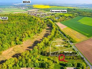 Prodej komerčního pozemku, Tišice, Mělnická, 6186 m2