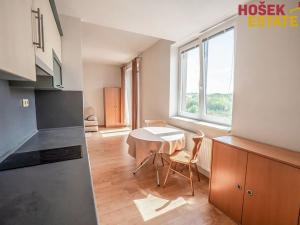 Prodej bytu 1+kk, Brno, U Leskavy, 33 m2