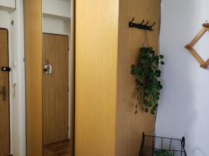 Pronájem bytu 2+1, Třeboň - Třeboň II, Táboritská, 55 m2