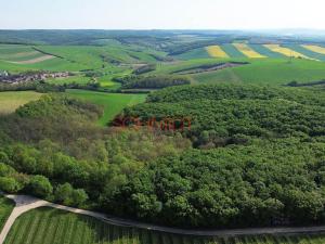 Prodej lesa, Velké Hostěrádky, 846 m2