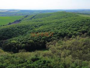 Prodej lesa, Velké Hostěrádky, 846 m2