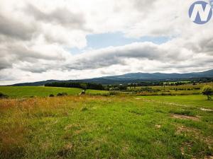 Prodej pozemku pro bydlení, Horní Planá, 1193 m2