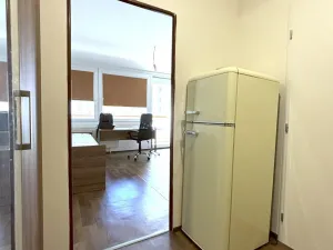 Pronájem bytu 1+kk, Plzeň - Bolevec, Manětínská, 26 m2