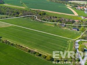 Prodej komerční nemovitosti, Bojanovice - Senešnice, Senešnice, 260 m2