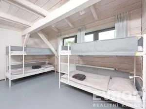 Prodej komerční nemovitosti, Bojanovice - Senešnice, Senešnice, 260 m2