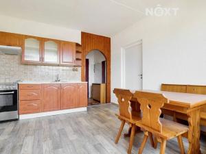 Pronájem bytu 1+1, Žatec, Družstevní, 36 m2
