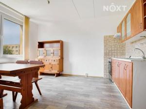 Pronájem bytu 1+1, Žatec, Družstevní, 36 m2
