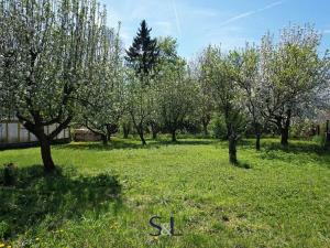 Prodej zahrady, Zákupy, Nové Zákupy, 850 m2