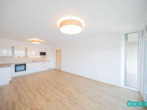 Pronájem bytu 2+kk, Olomouc, 17. listopadu, 61 m2