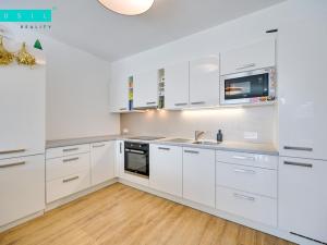 Pronájem bytu 2+kk, Olomouc, 17. listopadu, 61 m2