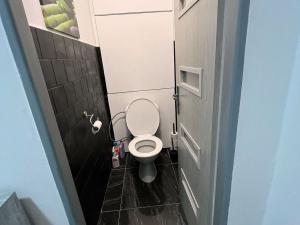 Prodej bytu 2+kk, Karlovy Vary, nábřeží Jana Palacha, 55 m2