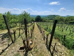 Prodej zahrady, Žitenice, 817 m2