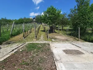 Prodej zahrady, Žitenice, 817 m2