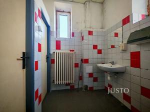 Pronájem výrobních prostor, Zábřeh, 28. října, 146 m2