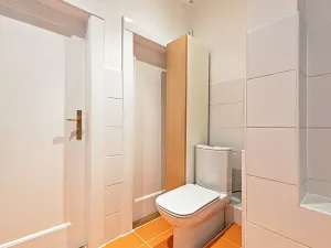 Prodej bytu 2+kk, Praha - Žižkov, Biskupcova, 48 m2