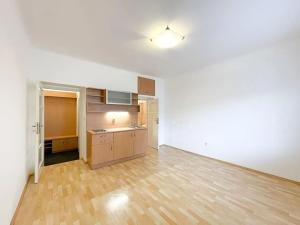 Pronájem bytu 1+kk, Praha - Nusle, Hvězdova, 25 m2