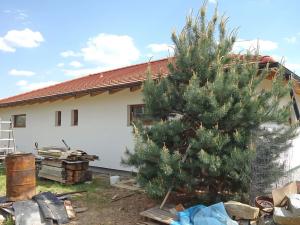 Prodej rodinného domu, Třeboň, Daskabát, 112 m2