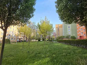 Pronájem bytu 2+1, Šumperk, Temenická, 44 m2
