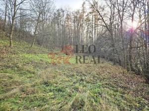 Prodej rodinného domu, Starý Jičín - Dub, 285 m2