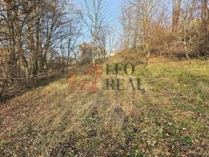Prodej rodinného domu, Starý Jičín - Dub, 285 m2