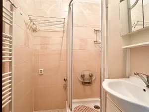 Prodej bytu 2+1, Praha - Záběhlice, Tulipánová, 60 m2