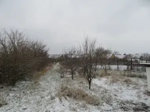 Dražba zahrady, Dyjákovice, 1033 m2