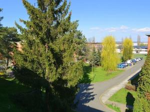 Prodej bytu 3+1, Otrokovice, Školní, 79 m2
