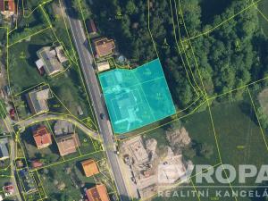 Prodej rodinného domu, Roprachtice, 460 m2