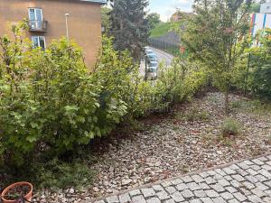 Pronájem bytu 2+kk, Praha - Smíchov, K vodojemu, 50 m2